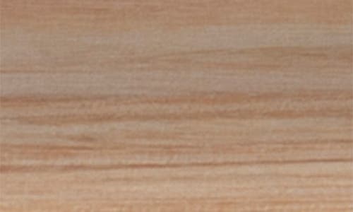 Shun Cutlery Premier Japanese Stainless Steel Pairing Knife In Blonde