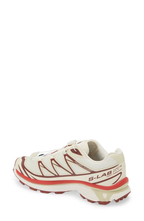 Salomon Sneakers Xt-6 Gtx In Vanilla Ice