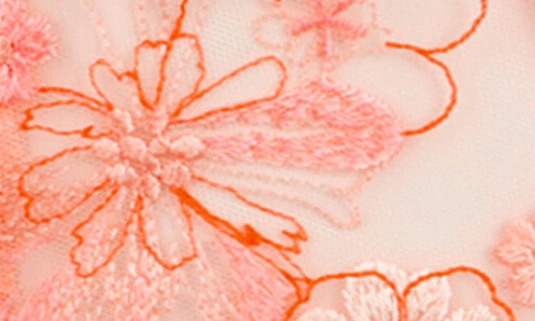Shop Love, Vera Floral Embroidered Garter Belt In Coral