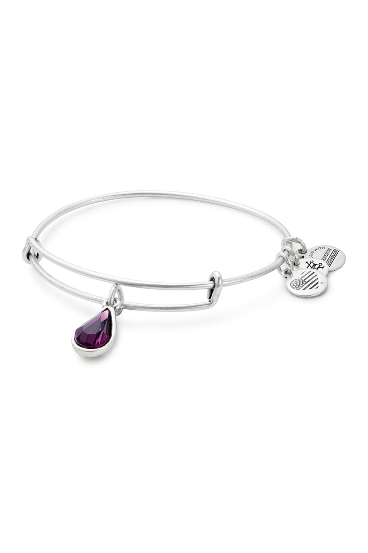 alex and ani birthstone bracelet february
