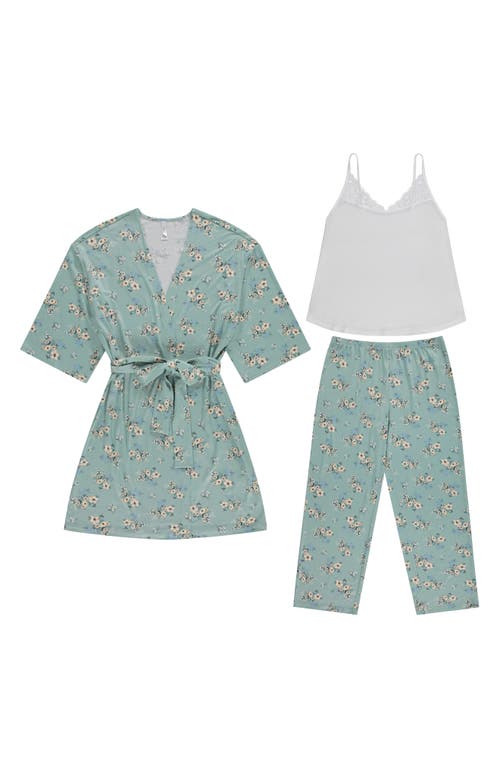 Flora By Flora Nikrooz Madison 3-piece Travel Pajamas In Sage