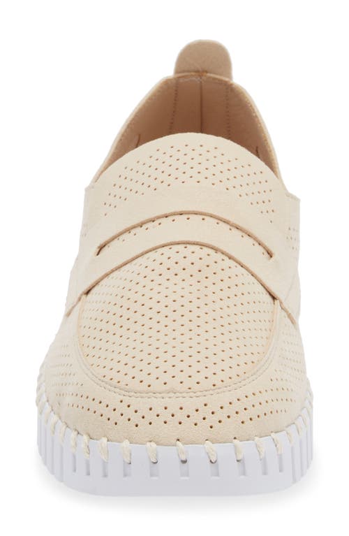 Ilse Jacobsen Tulipu Penny Loafer In Kit