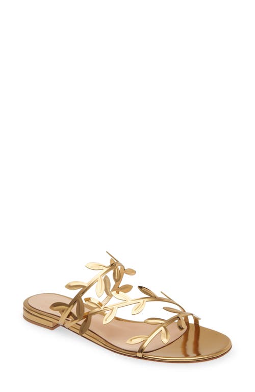 Gianvito Rossi Leaf Slide Sandal Metal Mekong at Nordstrom,