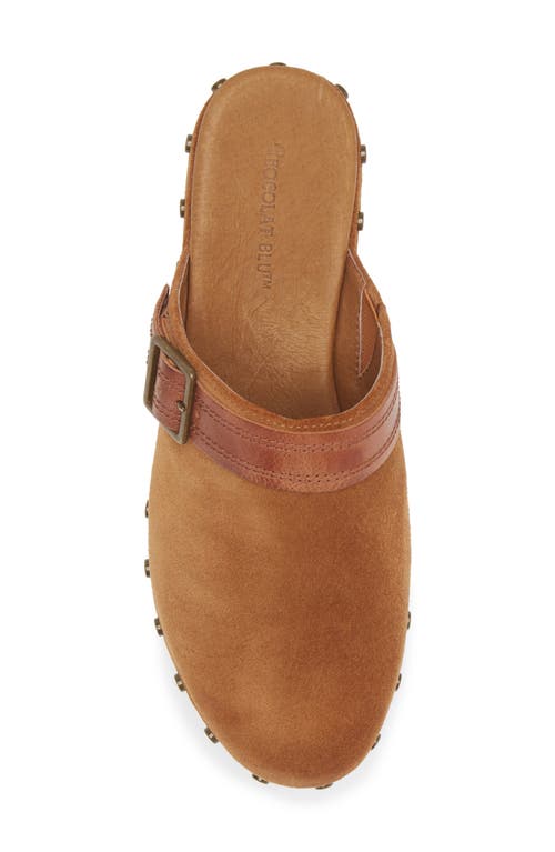 Shop Chocolat Blu Yogi Platform Wedge Mule In Cognac Suede