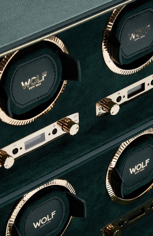 Shop Wolf British Racing Green 8-watch Winder & Case