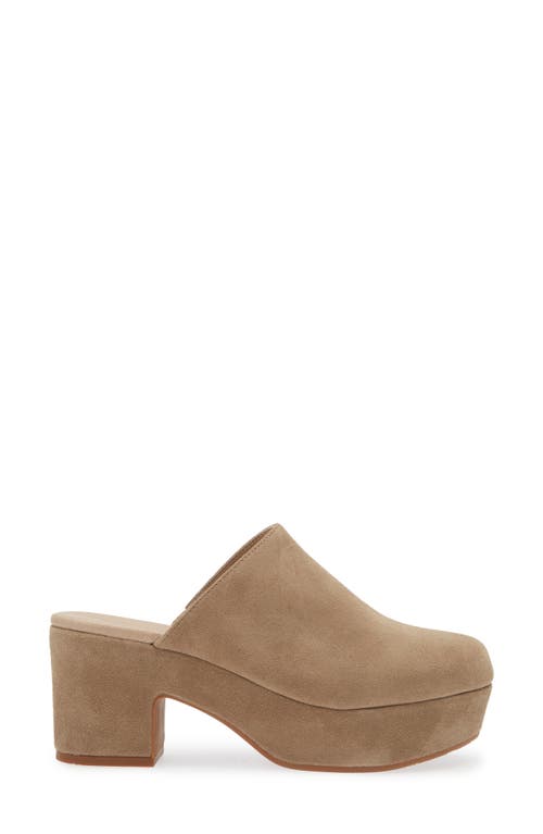 Chocolat Blu Ginette Platform Clog In Taupe Suede