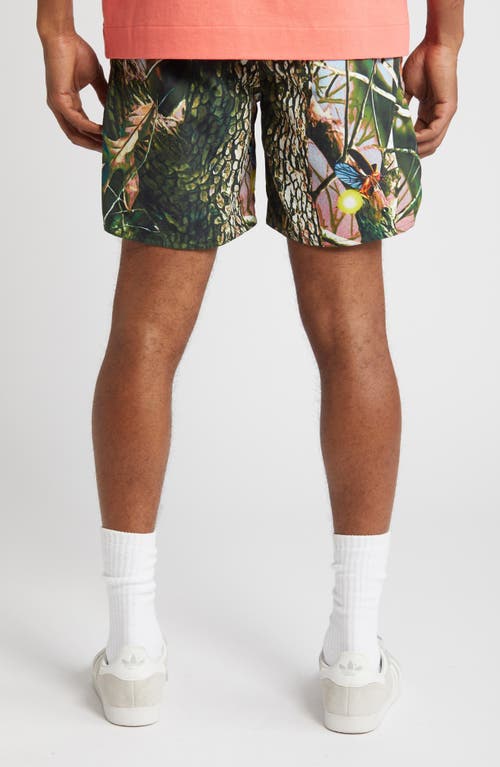 Shop Billionaire Boys Club Trail Mix Drawstring Nylon Shorts In Toffee