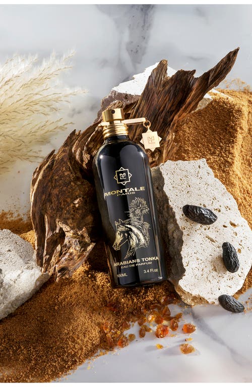 MONTALE PARIS MONTALE PARIS ARABIANS TONKA EAU DE PARFUM