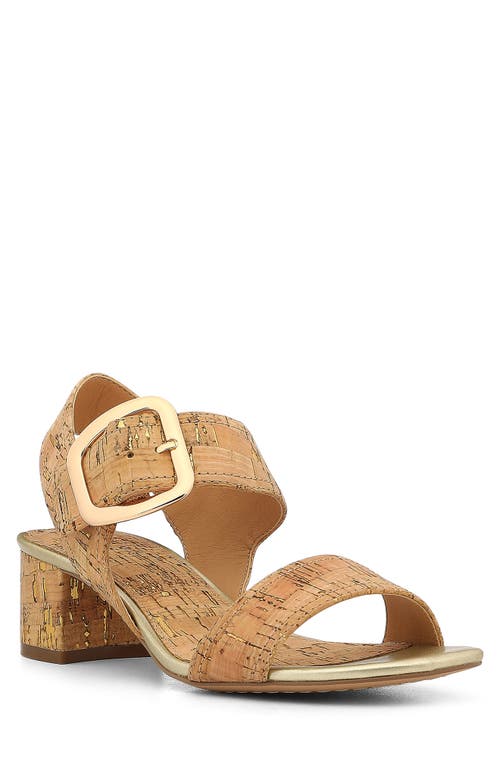 Shop Donald Pliner Ankle Strap Sandal In Natural/platino -ntpt