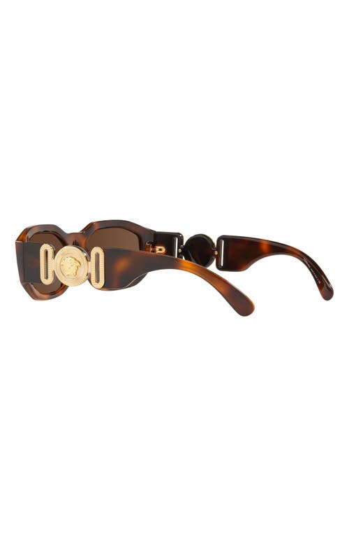 Shop Versace Biggie 53mm Round Sunglasses In Havana/brown Solid