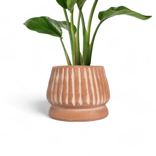 Shop Meso Goods Mateo Planter In Natural