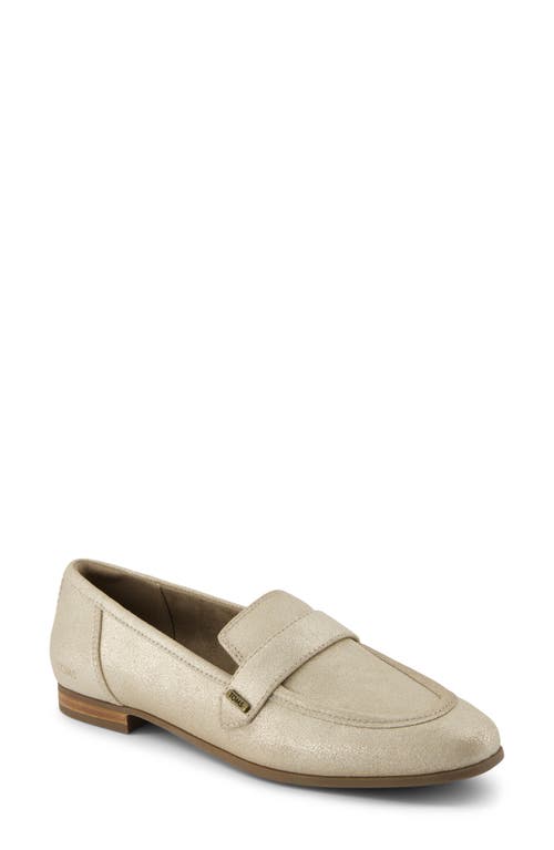 Shop Toms Lynette Loafer In Champagne Metallic Suede