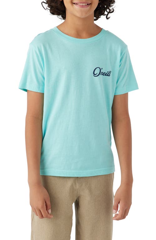 O'Neill Kids' Combo Graphic T-Shirt at