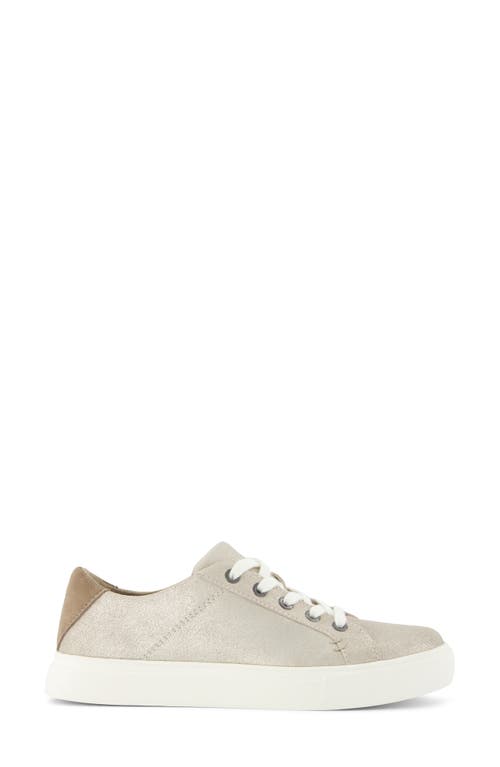 Shop Toms Kameron Sneaker In Silver