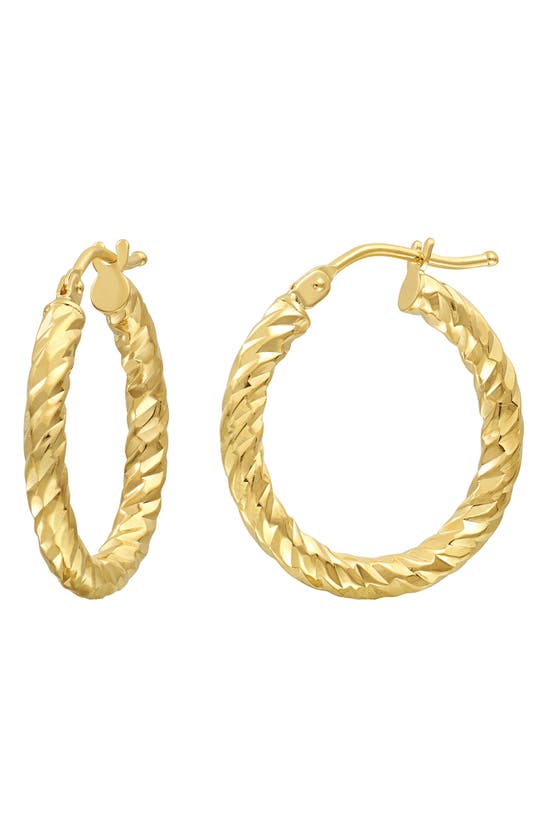 Bony Levy Blg 14k Gold Hoop Earrings