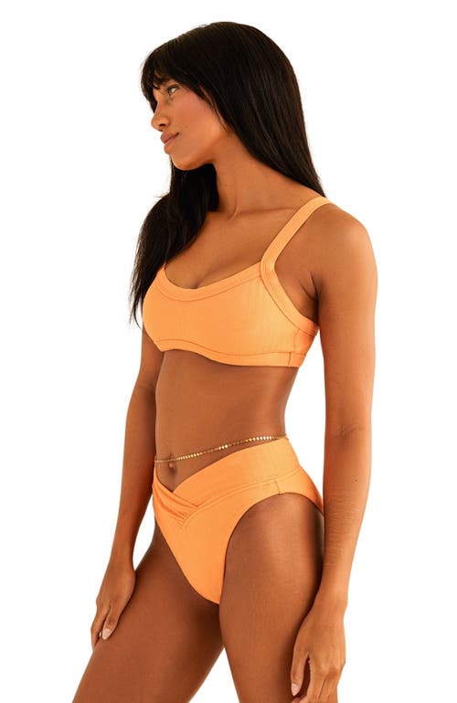Dippin Daisys Retro Bottom In Reef