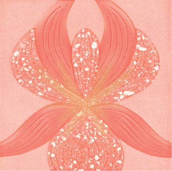 Sisley Palette L'Orchidée Blush Illuminante Tre Colori 