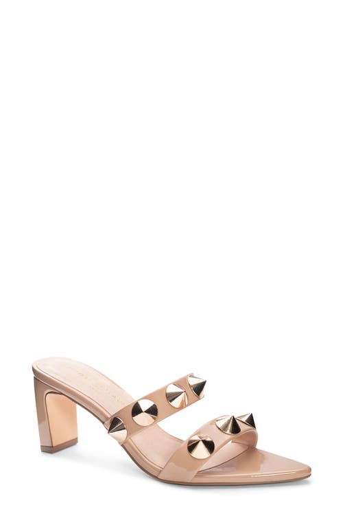 Yarley Pointed Toe Sandal in Nude