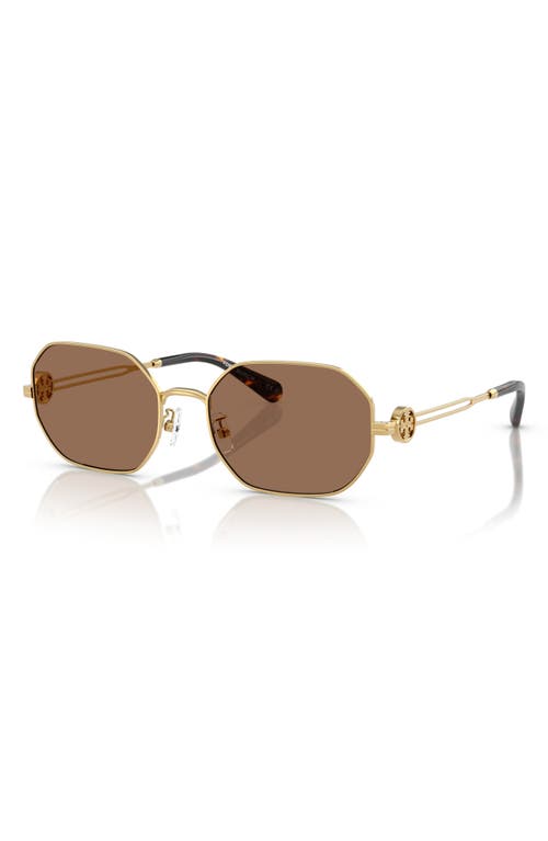 Tory Burch 55mm Irregular Sunglasses In Gold