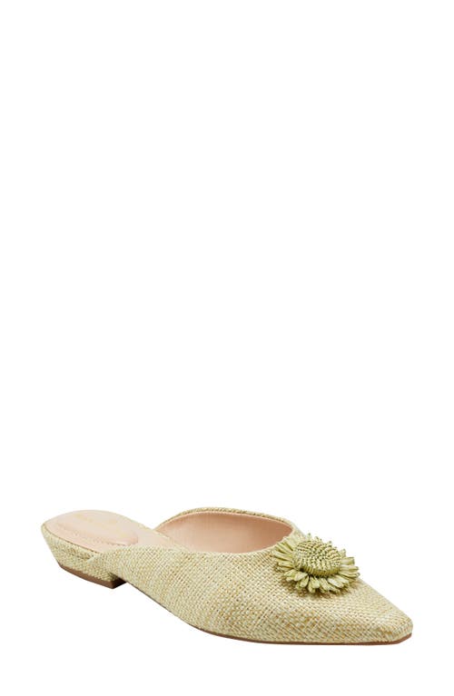 Shay Floral Appliqué Mule in Light Green