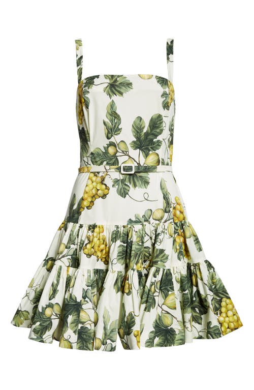 Shop Oscar De La Renta Fig Print Belted Mini Sundress In Ecru/green