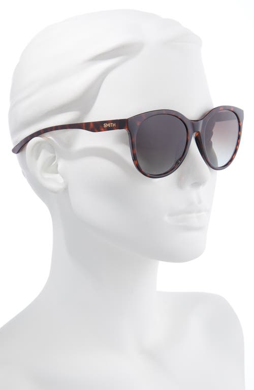 Shop Smith Bayside 55mm Polarized Round Sunglasses In Tortoise/brown Gradient