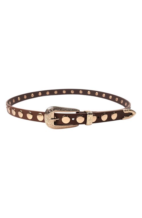 Petit Moments Phoenix Disc Belt in Brown/Gold at Nordstrom