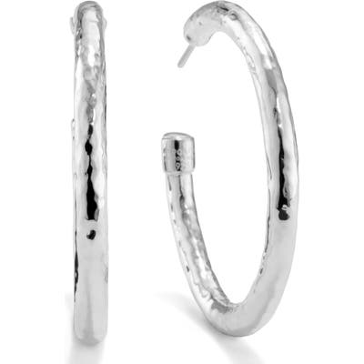 Ippolita