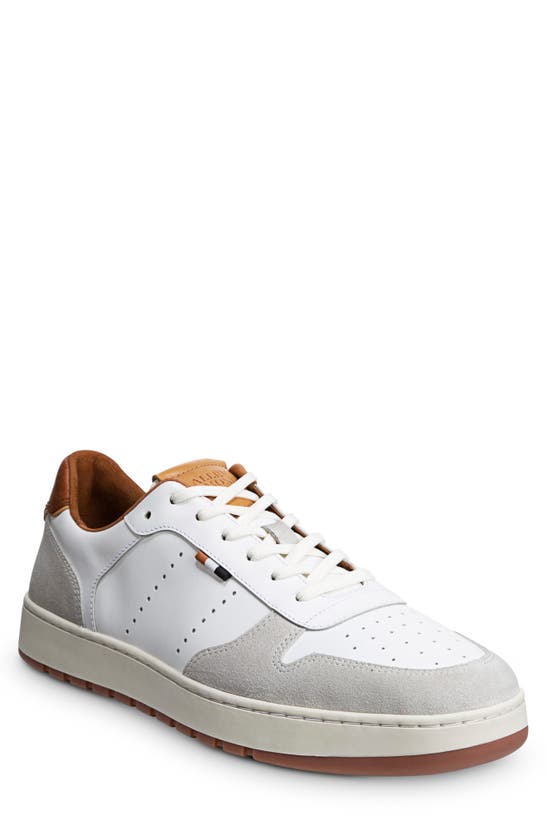 Allen Edmonds Springfield Leather Sneaker In White