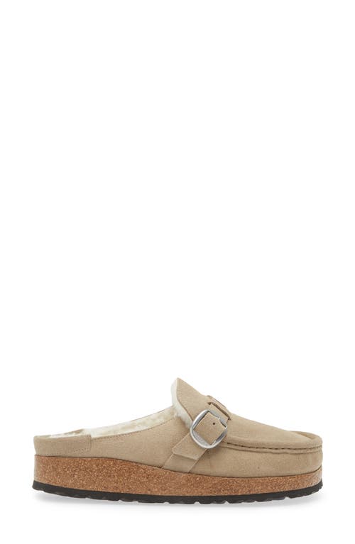 Shop Birkenstock Buckley Genuine Shearling Mule In Taupe