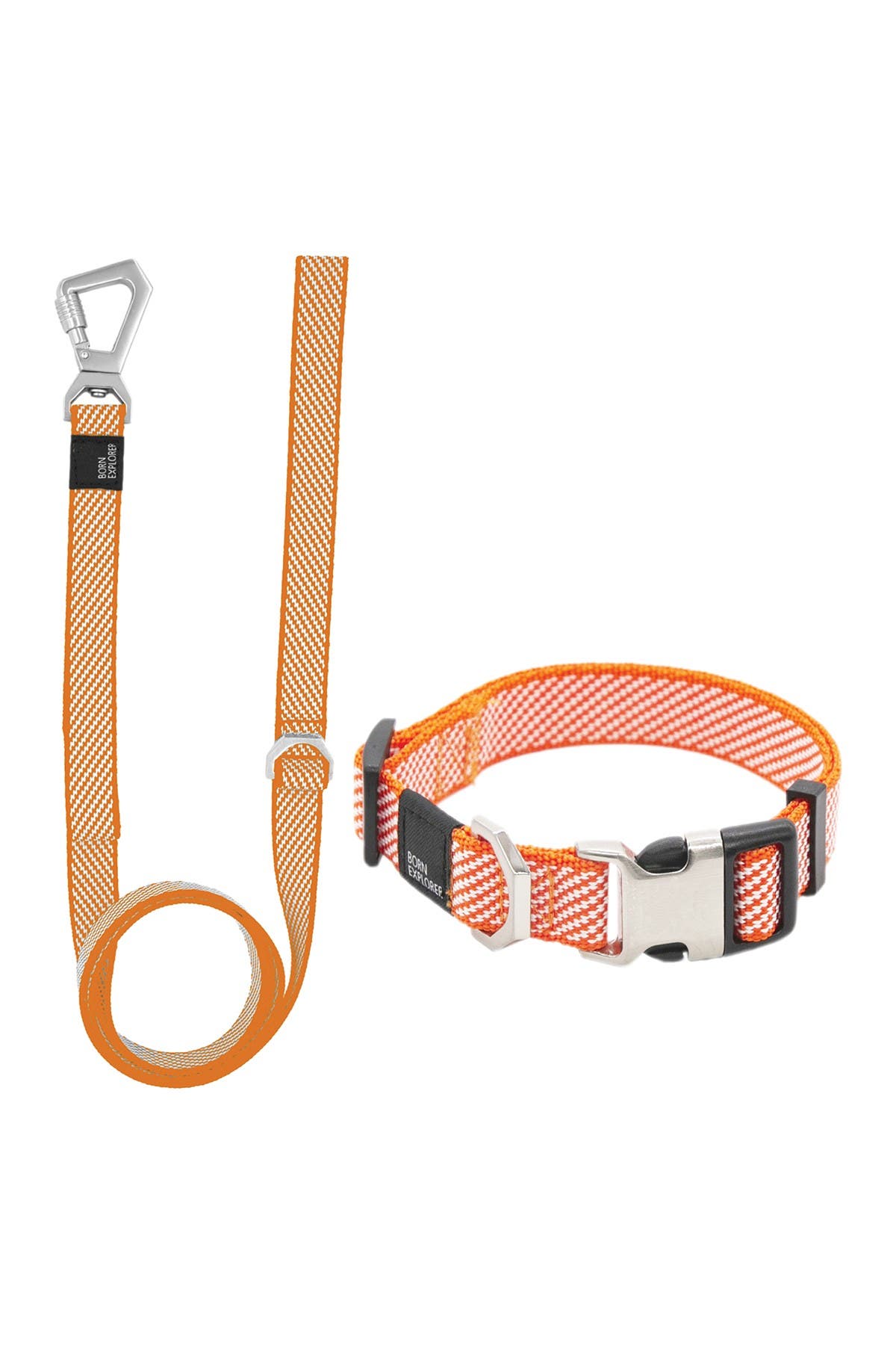 outdoor dog leash
