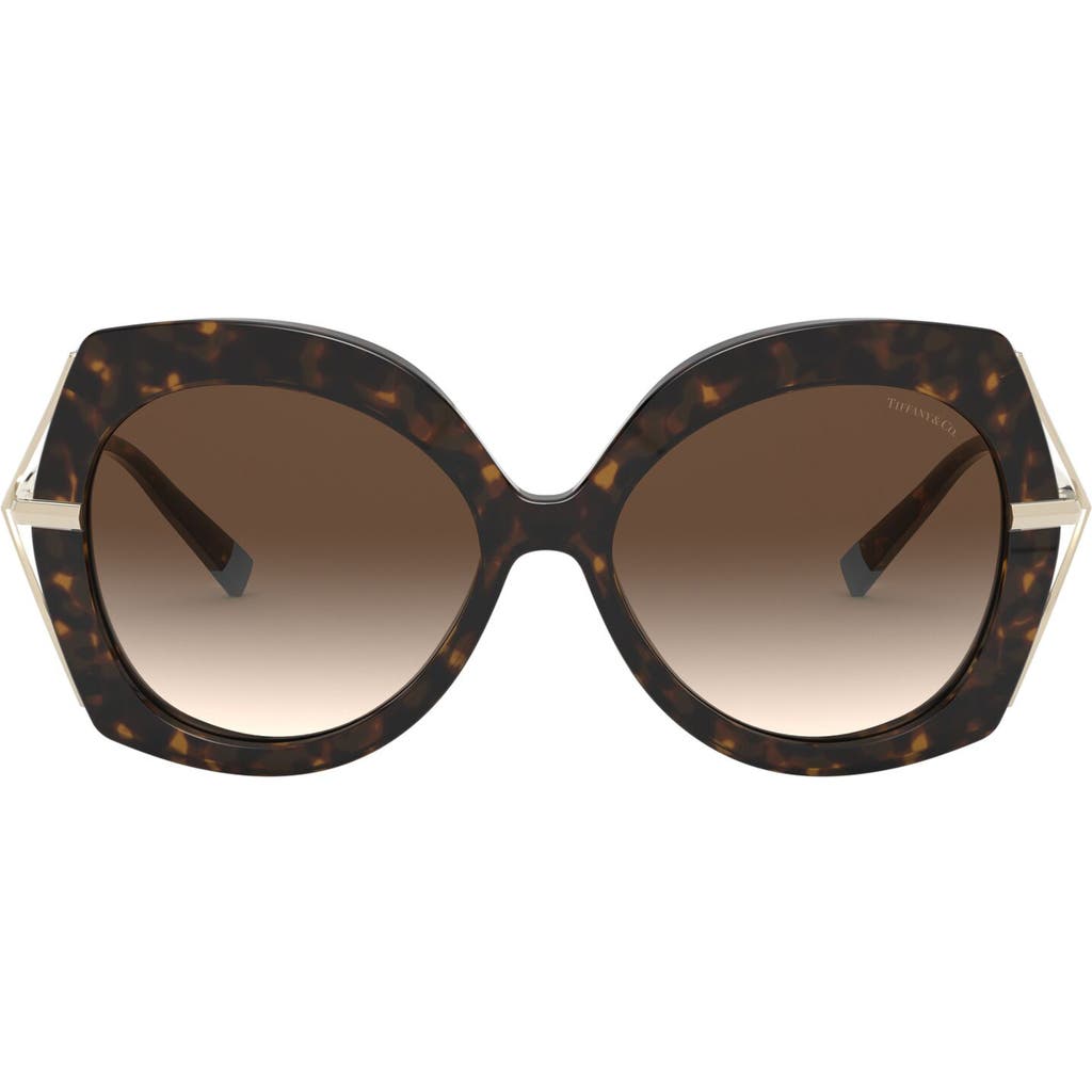 Tiffany & Co . 54mm Gradient Butterfly Sunglasses In Dark Havana/brown Grad