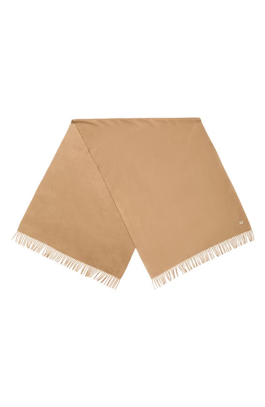 Loro Piana Fringe Cashmere Scarf In Golden Shade