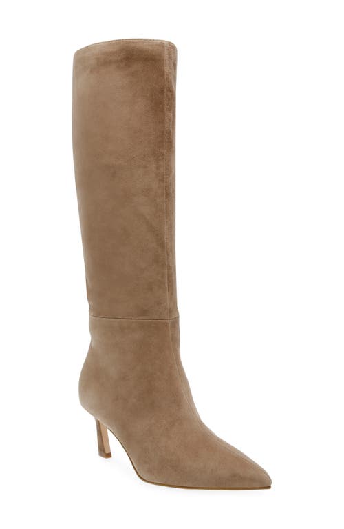 Lavan Pointed Toe Knee High Boot in Oatmeal Suede