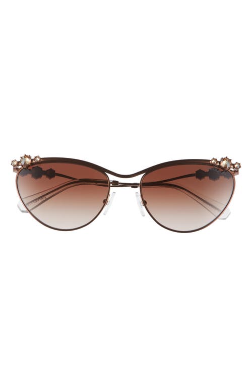 Swarovski 58mm Cat Eye Sunglasses in Brown at Nordstrom