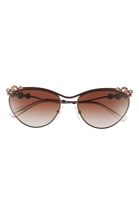 Shop Swarovski 58mm Cat Eye Sunglasses In Brown