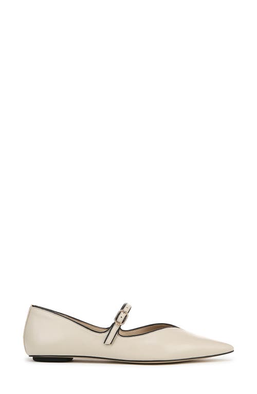 Shop Sam Edelman Noa Mary Jane Pointed Toe Flat In Modern Ivory/black