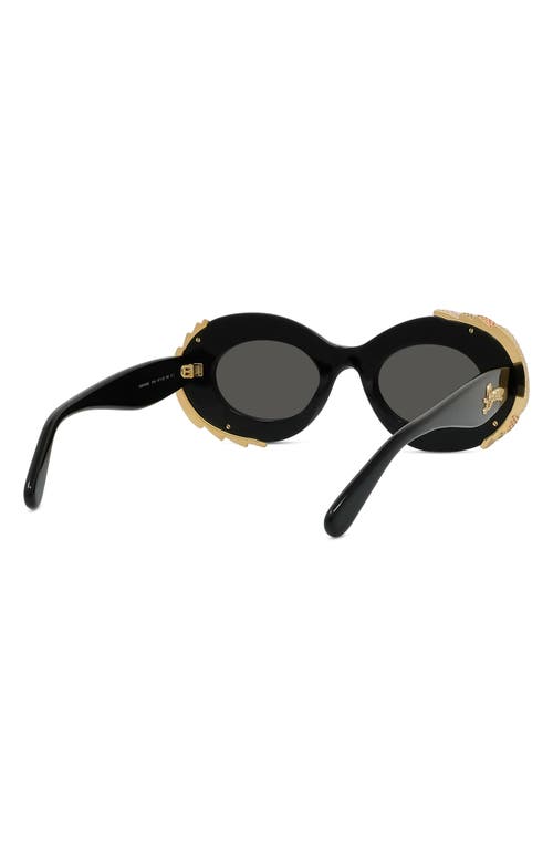 Loewe Men's X Paula's Ibiza 47mm Oval Sunglasses In Shiny Black/smoke