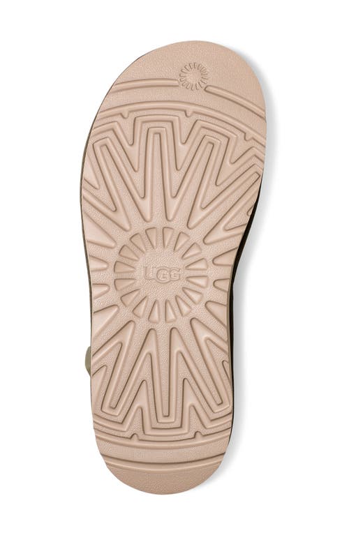 Ugg Goldencoast Multistrap Sandal In Shaded Clover