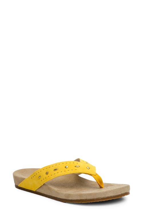 Kena Stud Flip Flop in Mineral Yellow