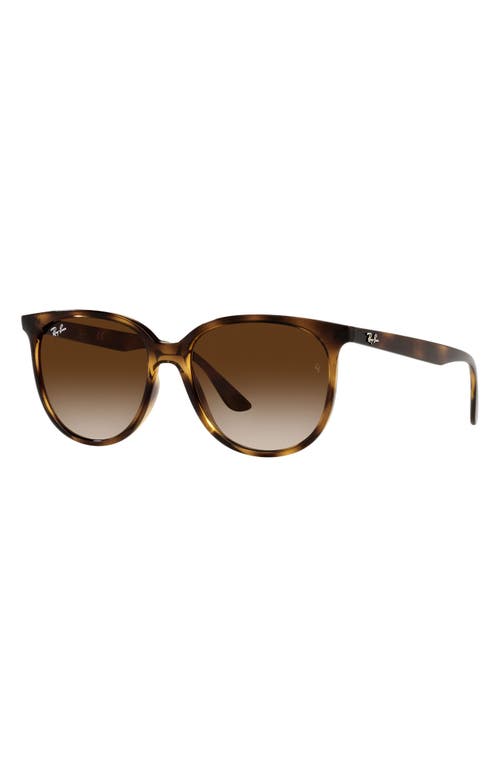 Ray Ban Ray-ban 54mm Gradient Square Sunglasses In Brown