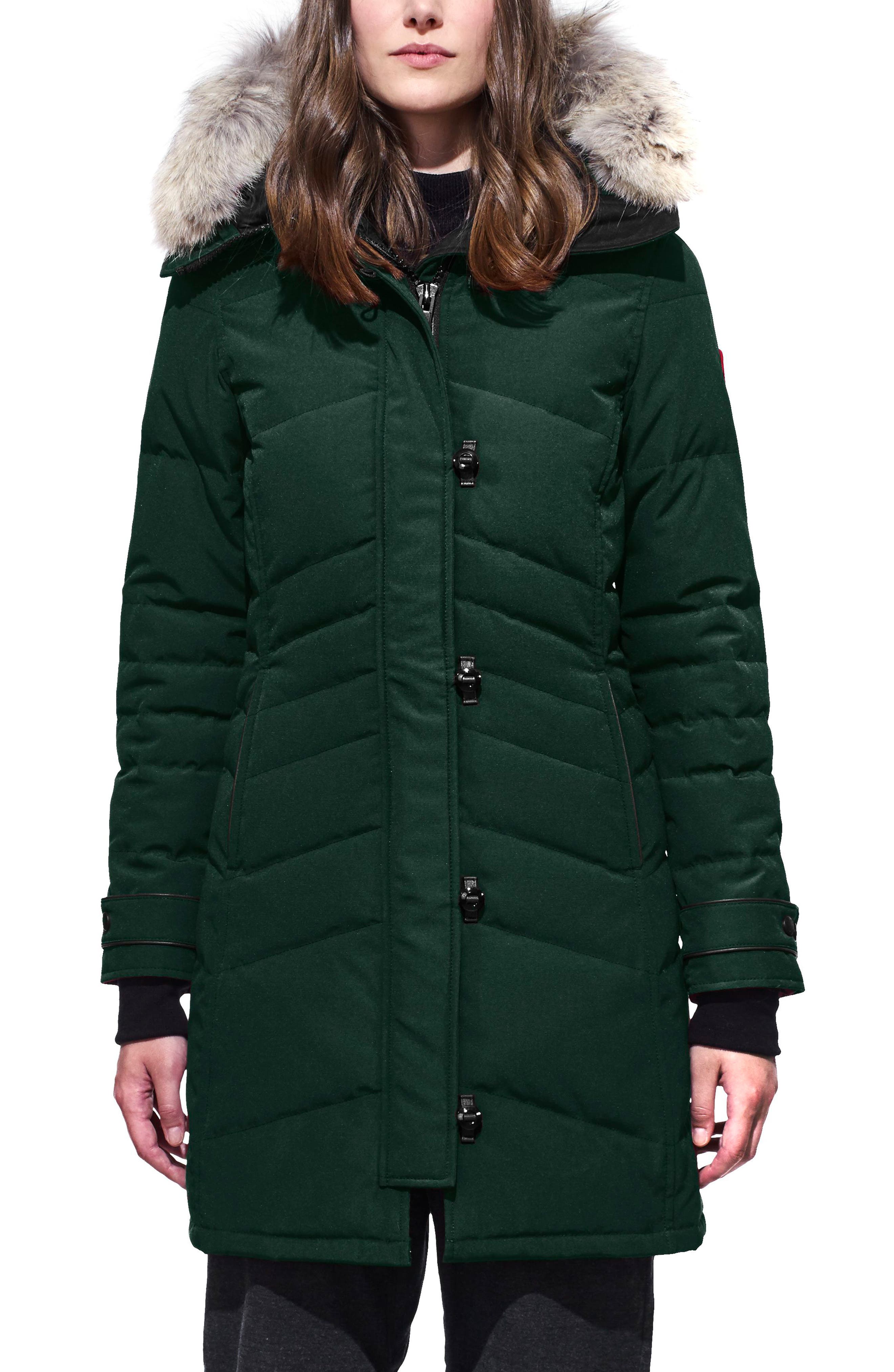 Canada Goose