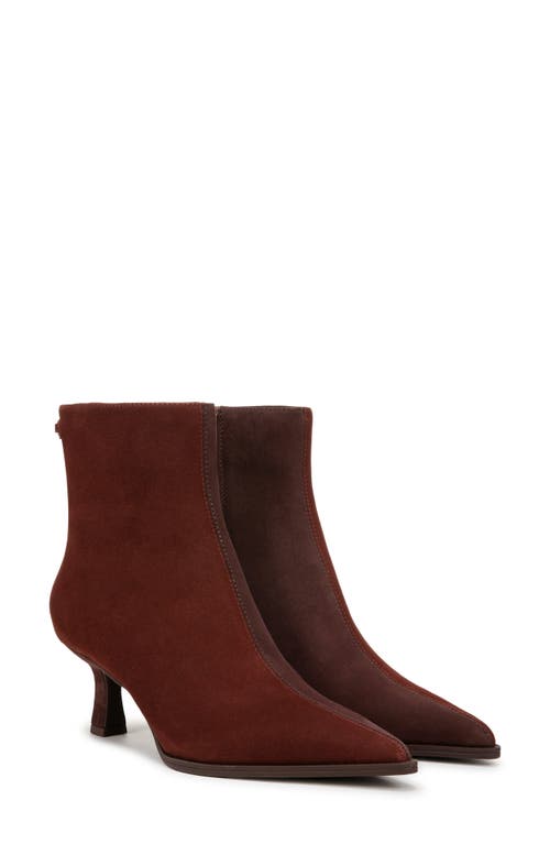 Shop Circus Ny By Sam Edelman Yuki Pointy Toe Bootie In Deep Pecan/chocolate