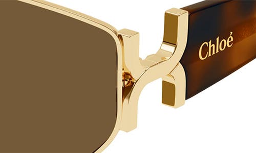 Shop Chloé 59mm Panthos Sunglasses In Gold