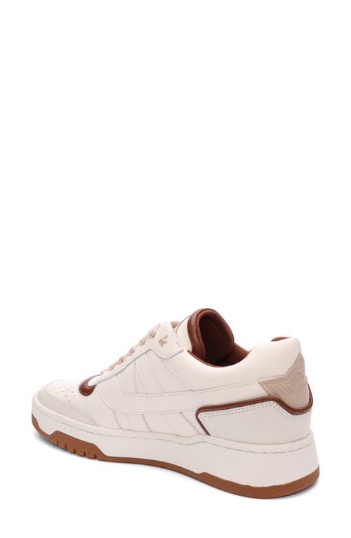 Ash Blake Panelled Leather Sneakers In Gardenia/amber