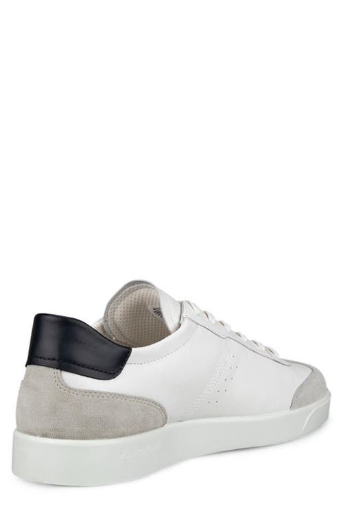 Shop Ecco Street Lite Low Top Sneaker In Gravel/white/black