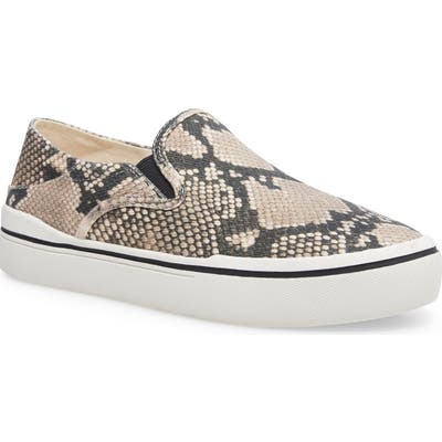 Steven By Steve Madden Riga Sneaker, Beige
