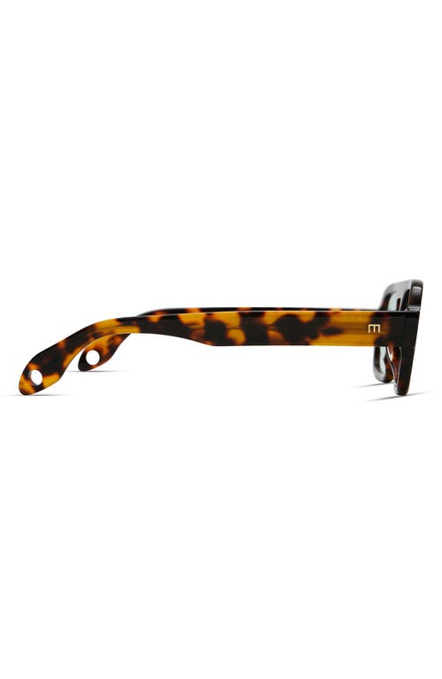Elisa Johnson Jane Mini 52mm Aviator Sunglasses In Brown Tortoise