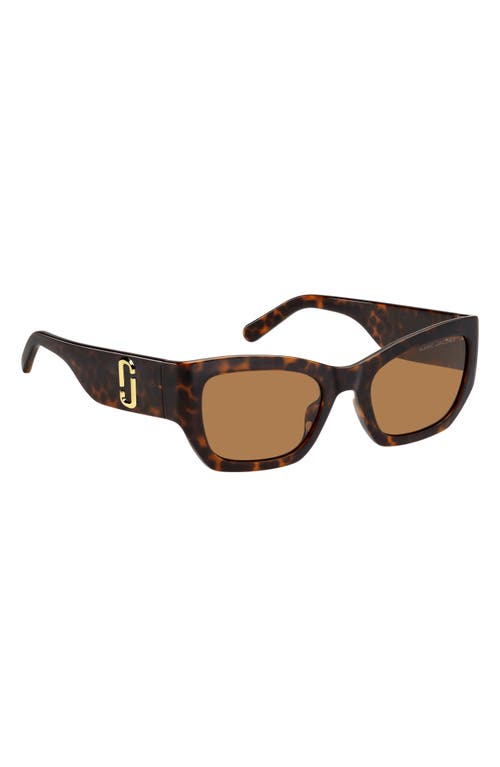 Shop Marc Jacobs 53mm Cat Eye Sunglasses In Havana/brown