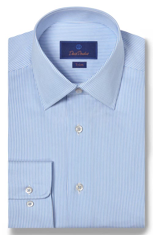 David Donahue Trim Fit Stripe Cotton Twill Dress Shirt in White/Blue 